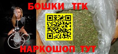 шишки Обь