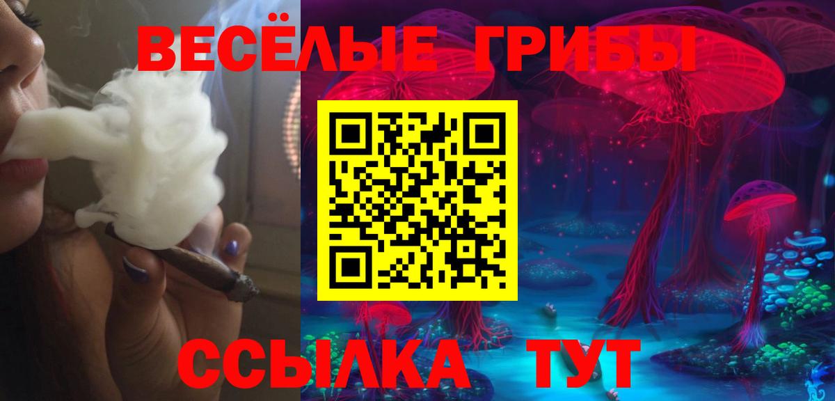 наркота  Вход с VPN  Подольск  Галлюциногенные грибы MAGIC MUSHROOMS  Галлюциногенные грибы Cubensis 